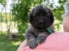images/T-Wurf/T-Wurf Wo 6/3S8A2680_hellgrun.jpg